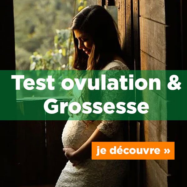 test-ovulation-grossesse